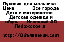 Пуховик для мальчика › Цена ­ 1 600 - Все города Дети и материнство » Детская одежда и обувь   . Ненецкий АО,Лабожское д.